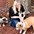 Stephanie Papineau's profile image