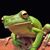 Brian Carmack's profile image