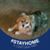 Diana Taylor's profile image