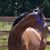 Elaine Zisk's profile image