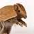 JayPee RIchards's profile image