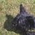 Gloria Mason's profile image
