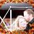 Marla Kenley's profile image