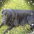 Jim Matthewman's profile image