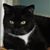 Trina Hackney Brun's profile image