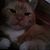 Tania Jones Turner's profile image