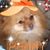 Betty Moore's profile image