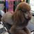Amy Mcclanahan Madison's profile image