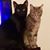 Holly Baggett's profile image