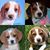 Shanna Martin Lopez's profile image