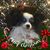 Donna Marshburn Wheeler's profile image