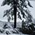 Annette Willsey Liebhardt's profile image
