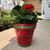 Gail Wood Fitzgerald's profile image