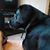 Maija Rudolph Bowens's profile image