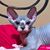 Irina Crudu's profile image