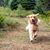 Deb Johnson's profile image