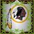 Manuel Acevedo's profile image