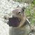 David Johnson's profile image