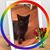 Diane Donovan's profile image