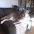 Mia Villarreal Santarsiero's profile image