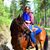 Teri Bridges's profile image