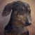 Georgia Ann Manley's profile image
