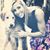 Shaina Pleeter's profile image