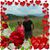LannyandJudy Smith's profile image