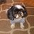 Donna Connrad's profile image