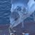 Kathie Hahn's profile image