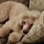 Leanne Packer's profile image