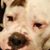 Carol Godzick's profile image