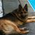 Debbie Gelinas Houlihan's profile image
