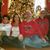 Bobbi Cooper Kleckner's profile image