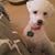 Vera Henderson's profile image
