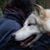 Zoraida Sifontes's profile image