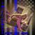 Jeweli Nethertoni's profile image