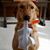 Robin Boocher-Garrard's profile image