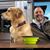 Tres Ostien's profile image