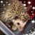 Mary Hink Lehr's profile image
