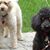 Rhonda Bernstein Shulze's profile image