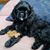 Hilary Knight's profile image