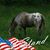 Joanne Blackburn Darnell's profile image