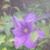 Krista Coker's profile image