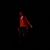 Enrique Rosado's profile image