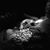 Carrie Young Denley's profile image