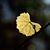Nataraj Jonnalagadda's profile image