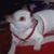 Joni Rebecca Coombs's profile image