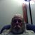 Mike Easterday's profile image