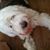 Debbie Ford's profile image